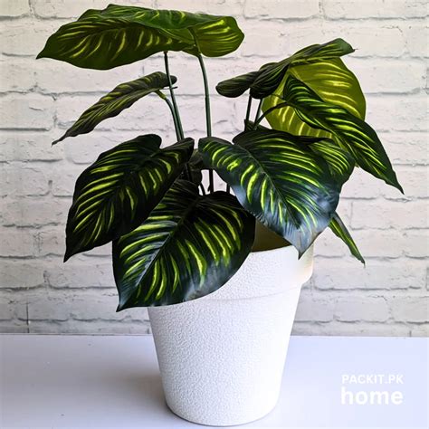 Artificial Plants Pk