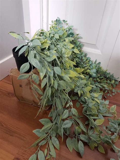 Artificial Plants Regina