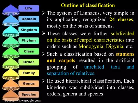 Artificial System Of Classification Linnaeus