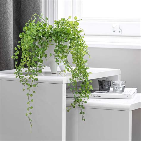 Artificial Trailing Plant