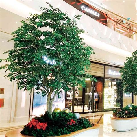 Artificial Trees In Store
