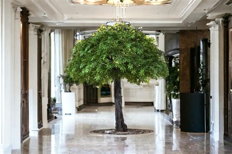 Artificial Trees In Us