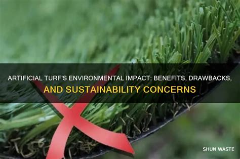Artificial Turf And The Environment