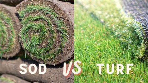 artificial turf vs sod