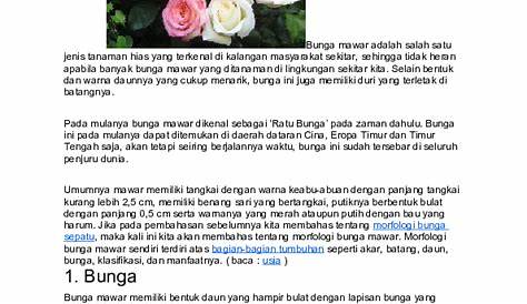 Daftar Nama Bunga Lengkap Beserta Gambar dan Penjelasannya - BibitBunga.com