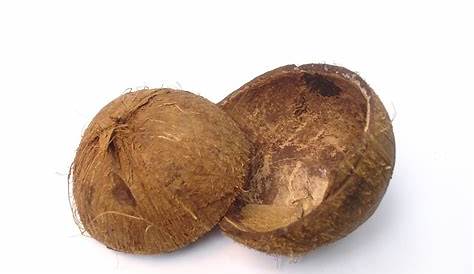 Kerajinan limbah tempurung kelapa - ANTARA News