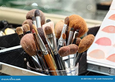 Artist Brushes Makeup