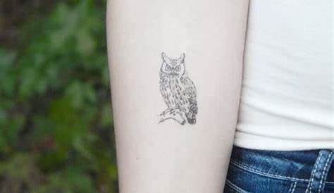 50 of the Most Beautiful Owl Tattoo Designs and Their