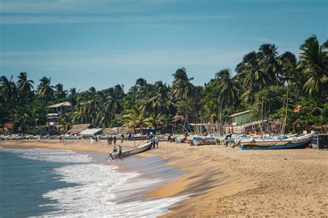arugam bay beach view