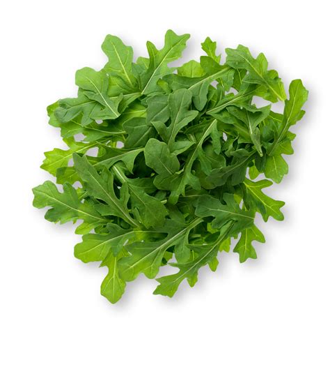 Arugula