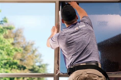 arvada window tinting