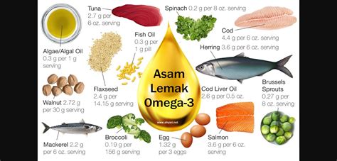 Asam Lemak Omega-3