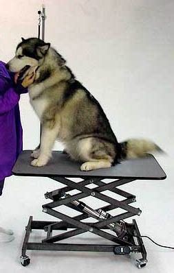 Ascot Lowboy Grooming Table