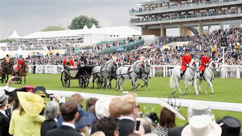 ascot racing today live