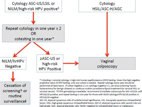 ascus high risk hpv positive
