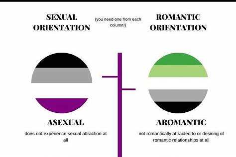 ASEXUAL DONT CARE ABOUT LGBT