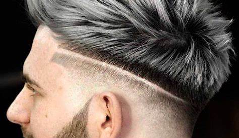 Ash Grey Platinum Silver Hair Men 77 Best Highlights Types, Colors, Products, And Ideas