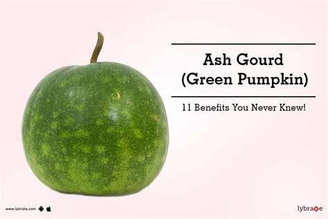 Ash Gourd And Pumpkin Difference