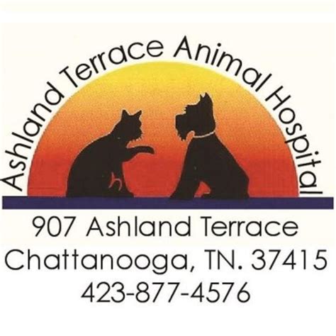 ashland terrace animal hospital chattanooga
