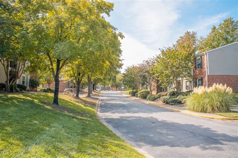 Discover the Serene Beauty of Ashley Woods: A Hidden Nature Escape