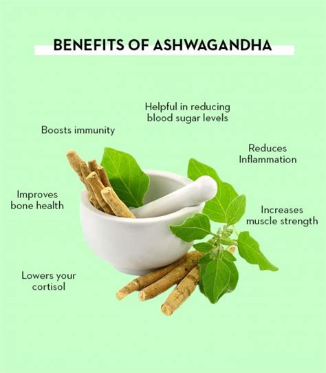 ashwagandha benefits for mental health