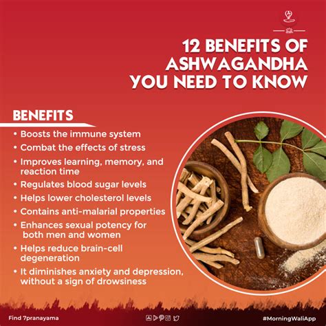 ashwagandha side effects weight gain