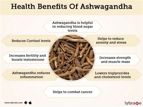 ashwagandha tea benefits for men