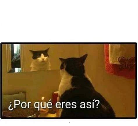 ASI QUE ERES LIDER Cristian DIME QUE SE SIENTE TENER DISCIPULOS Meme