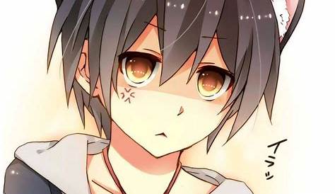 500+ Wallpaper Anime Boy Cat Picture - MyWeb