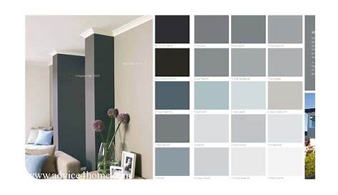 Asian Paint Grey Colour