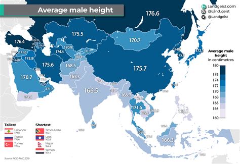 asian avg height