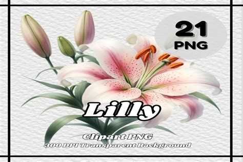 asian files lilly