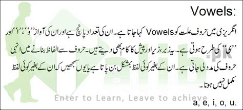 ask meaning in urdu with example