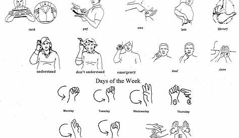 Learn your ASL "abc's" with me! American Sign Language with TOBI - YouTube