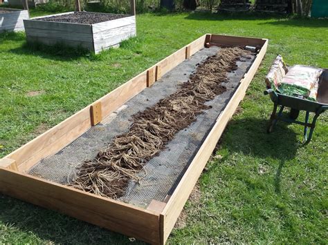 Asparagus Raised Bed Depth
