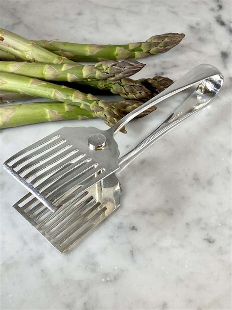 Asparagus Serving Utensil