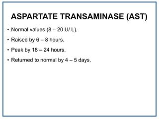 Understanding Aspartate Transaminase Normal Range for Optimal Health