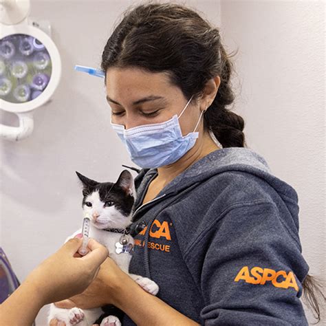 Explore ASPCA Careers: Make a Difference in Animal Welfare