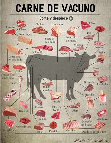 aspectos generales de la carne