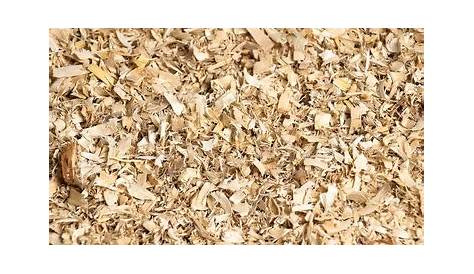 Aspen Wood Shavings Full Frame Image. Stock Image Image