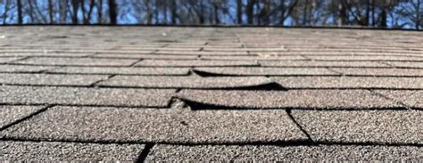 asphalt roof shingles lifespan