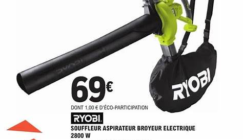 Aspirateur Souffleur Broyeur Electrique Leclerc De Jardin + Sac De 50 L