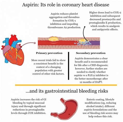 Aspirin Gi Bleeding