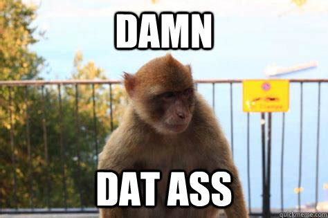 ass damn dats