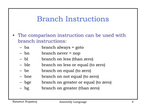 Assembly Branch Instruction