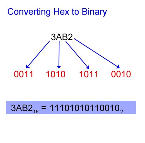 Assembly Convert Hex To Binary