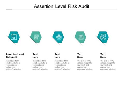 assertion level in audit