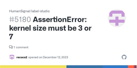 assertionerror kernel size must be 3 or 7