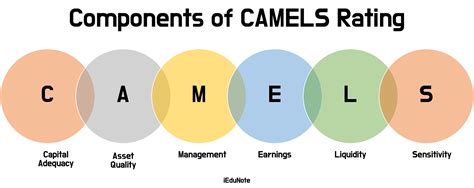 Asset Quality In Camel Analysis