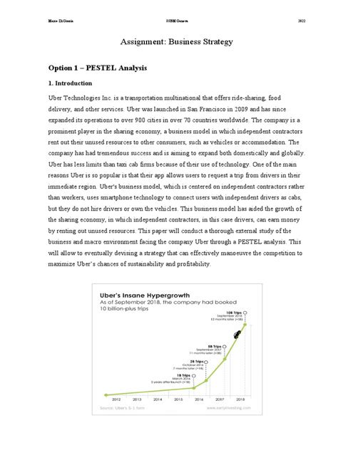 assignment on business strategy